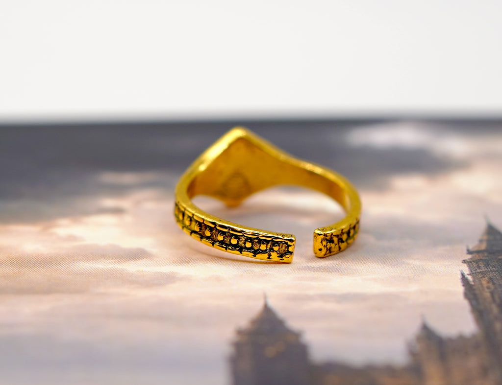 Ring of Favor and Protection